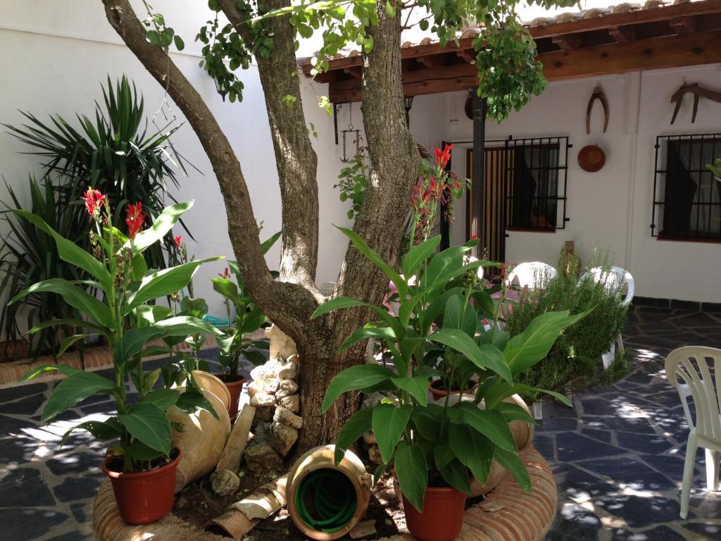 Casa Rural El Rincon Del Infante Villa de Don Fadrique ภายนอก รูปภาพ